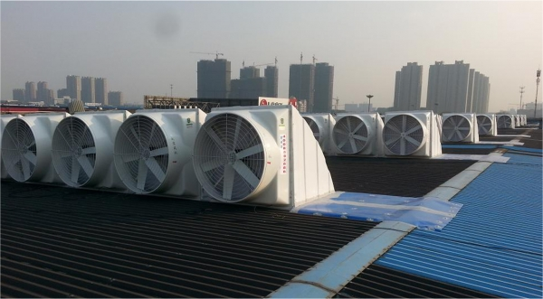 1698907369347018.jpg 1698907349538.jpg